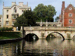 Bridges in Cambridge
